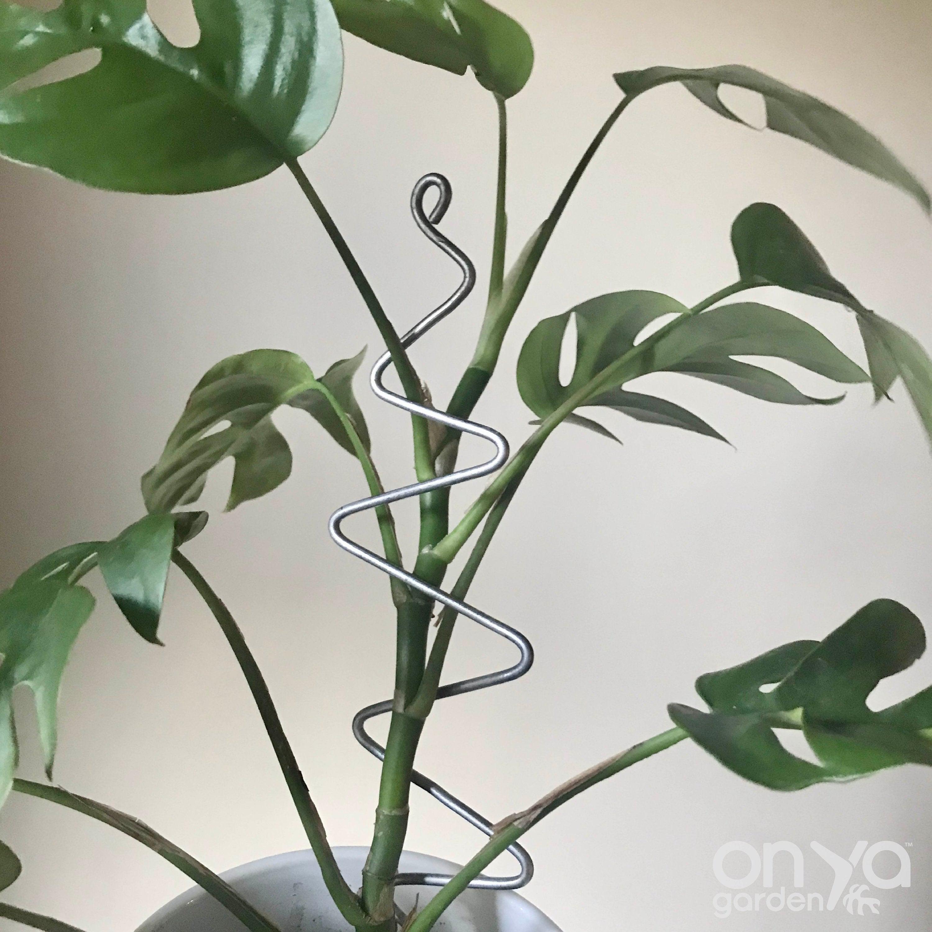 Steel Zig Zag Plant Stick, Decorative Plant Stake