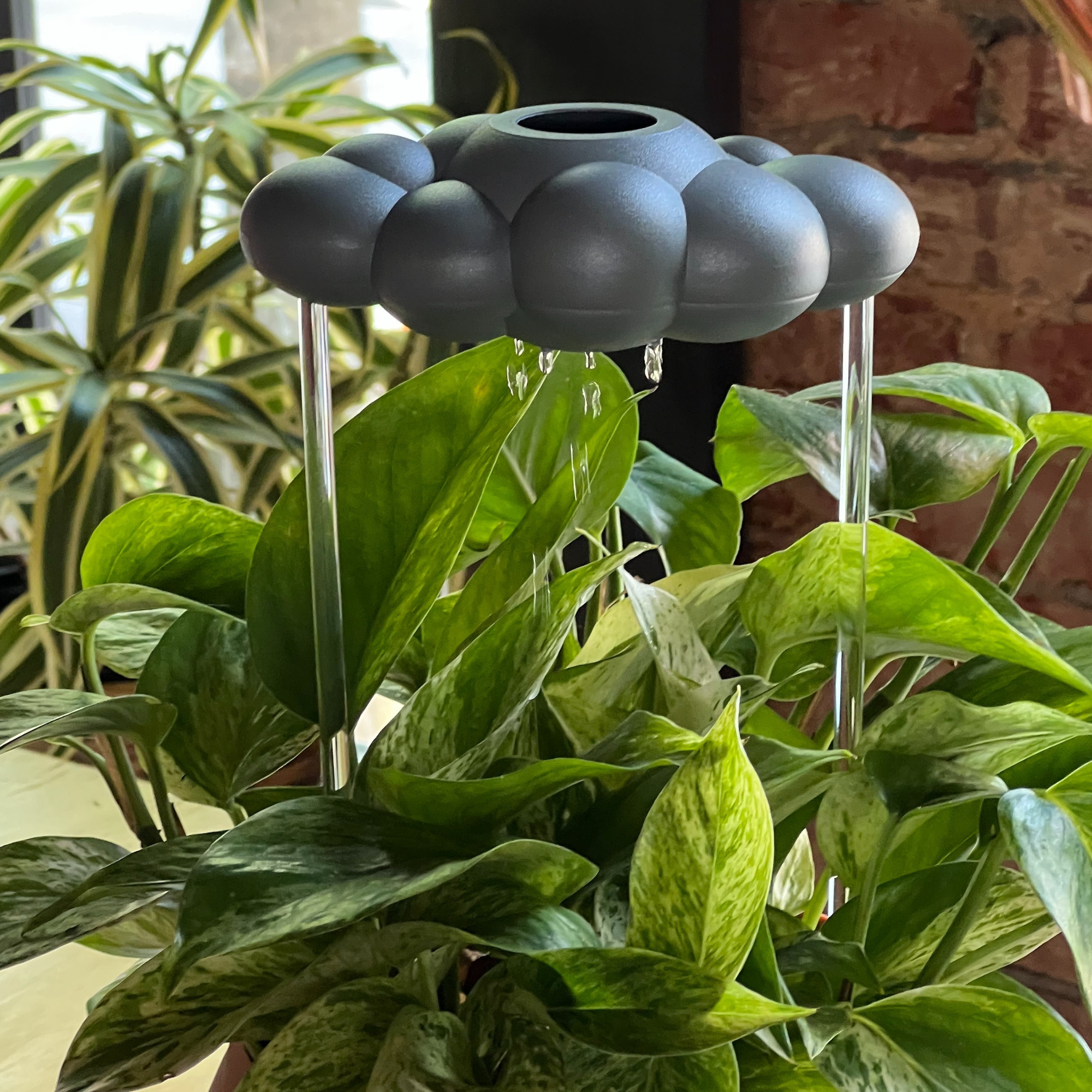 Stormy Dripping Rain Cloud