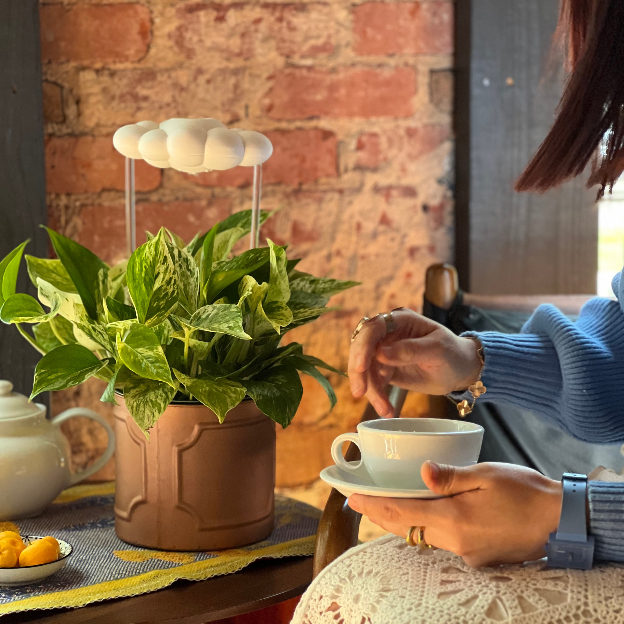 Original Dripping Rain Cloud