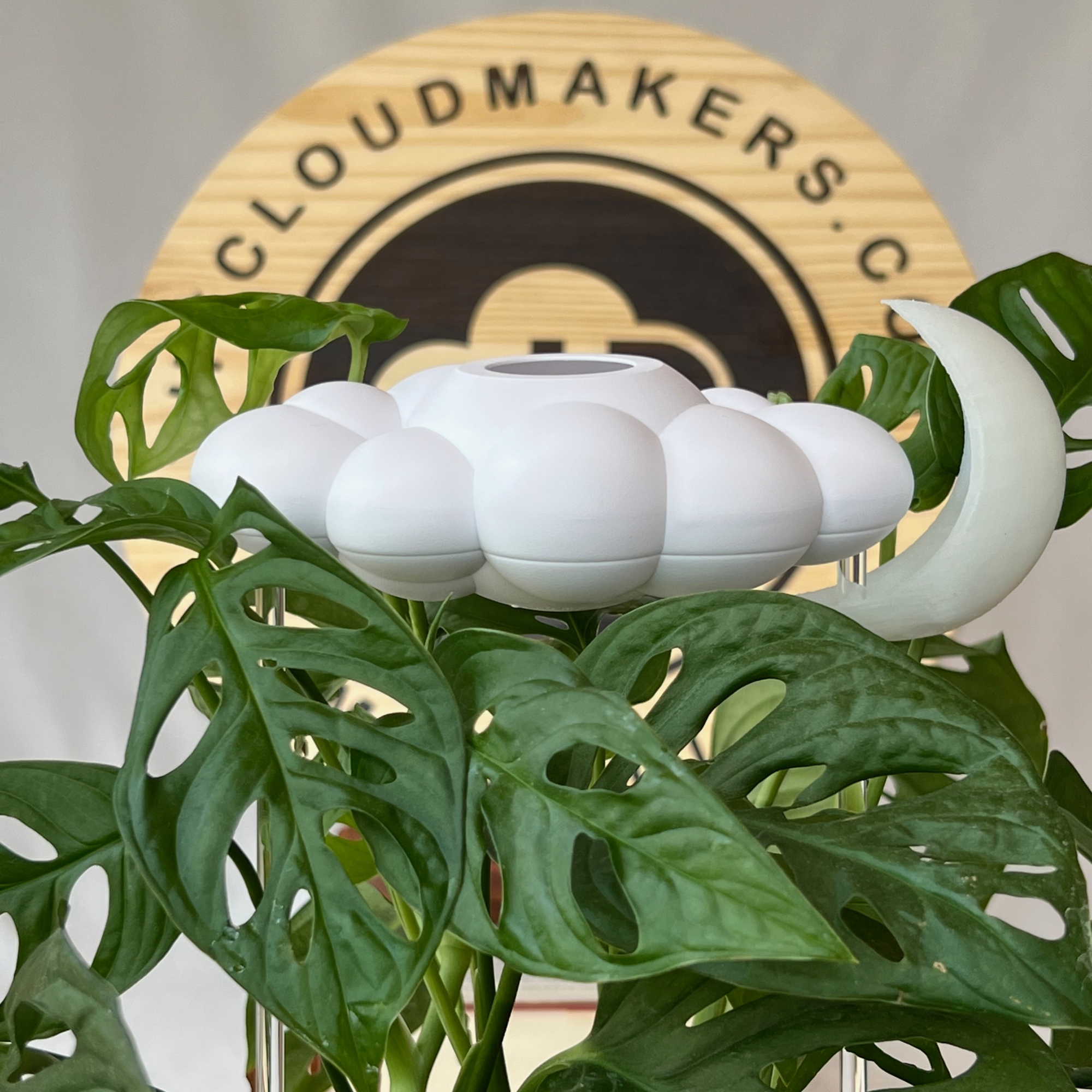 Dripping Rain Cloud with Glow in the Dark Moon Charm