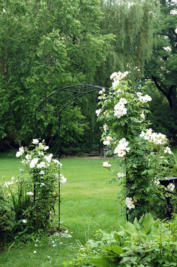Solid Rod Monet Arch with Lattice - Henderson Garden Supply