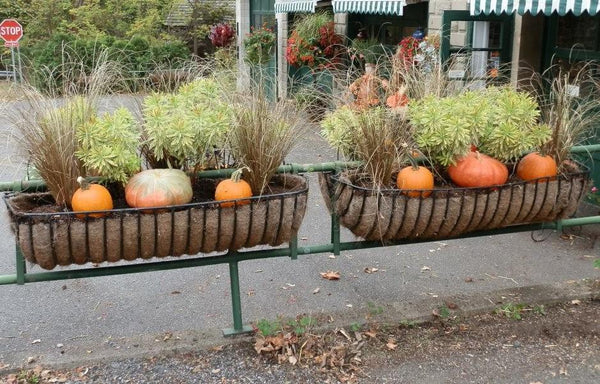 Hayrack Window Boxes & Planters | Henderson Garden Supply
