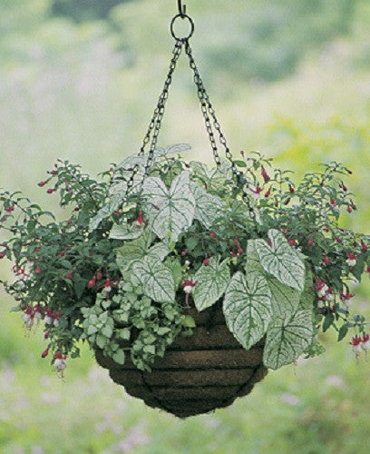 Euro Classic Hanging Basket and Liner Set - Set of 2 Baskets and Liners - Henderson Supply