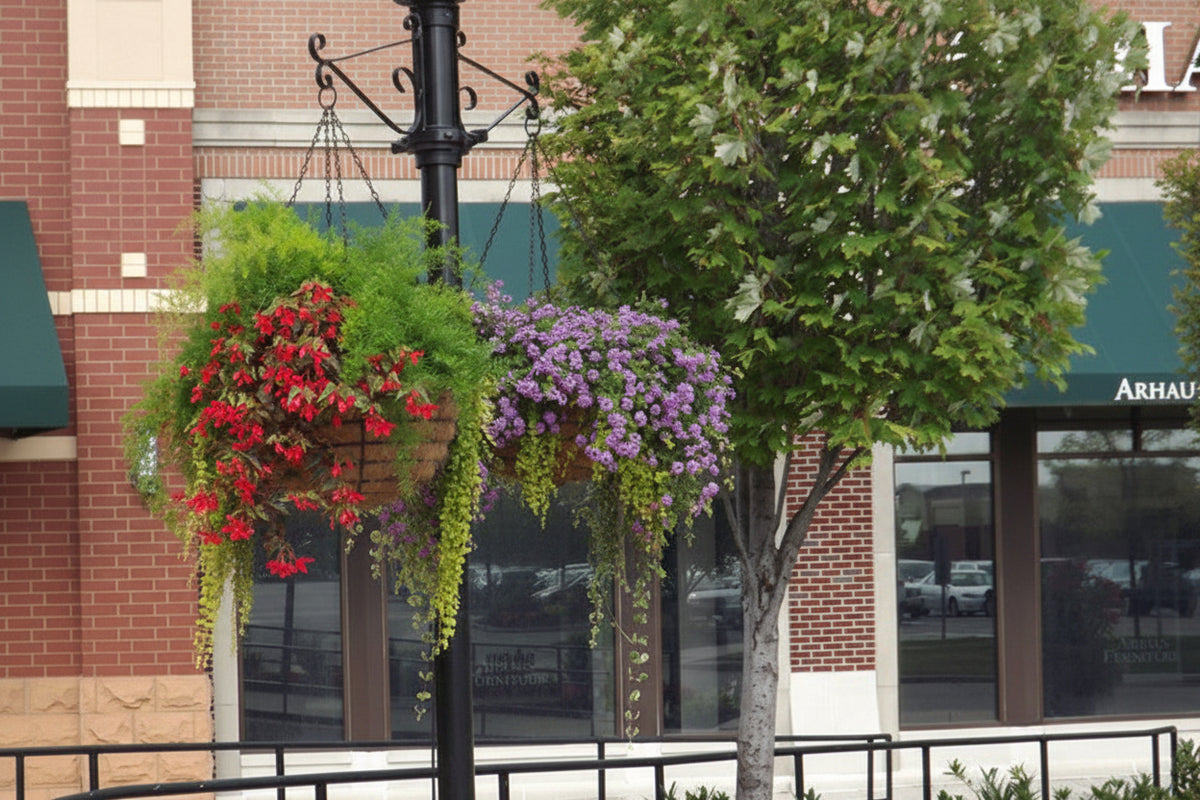 bulk hanging baskets for plants 24" Euro Classic Hanging Baskets Set of 2