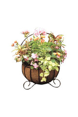 Cauldron Basket Planters With Coco Liners - Henderson Garden Supply