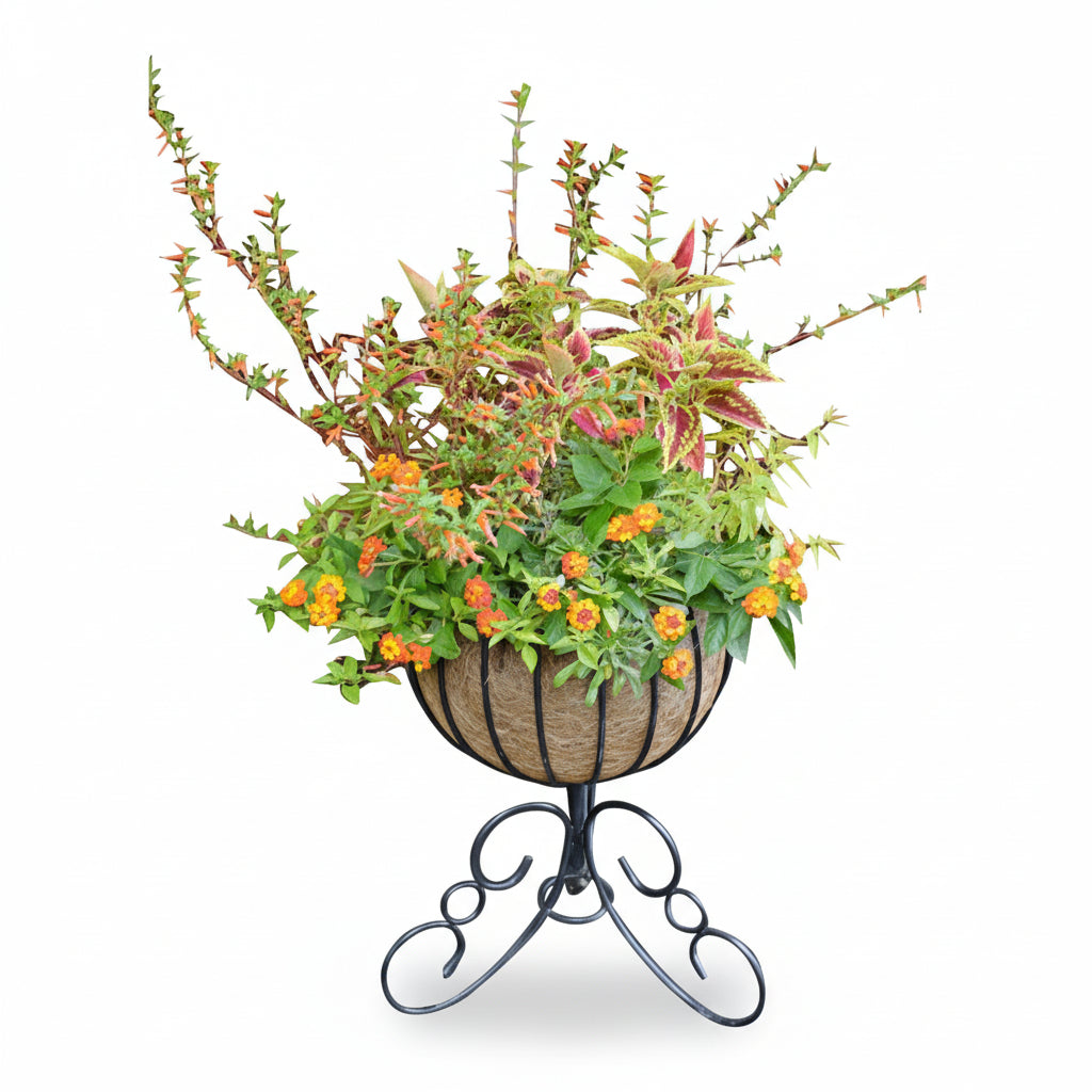 European Classic Urn Planter with Stand and Coco Liner - Thumbnail 2