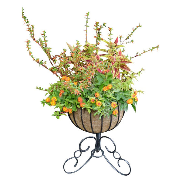 Classic Urn Free Standing Patio Planter and Coco Liner Set - Henderson Garden Supply