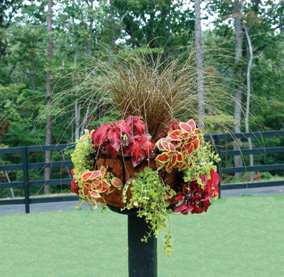 Pamela Crawford Single Tier Basket Planter and Liner Sets for Side Planting - Henderson Garden Supply