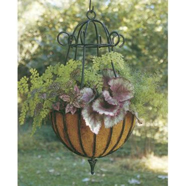 Peacock Hanging Basket with Liner - 2 Sizes - Henderson Garden Supply