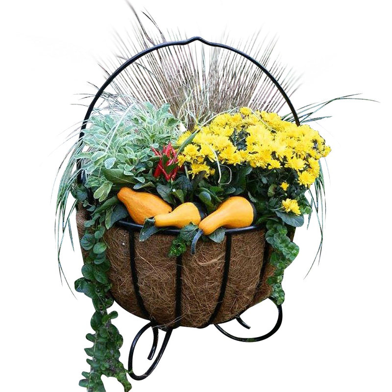 Cauldron Basket Planters With Coco Liners shown with Fall Flowers and Squash- Henderson Garden Supply
