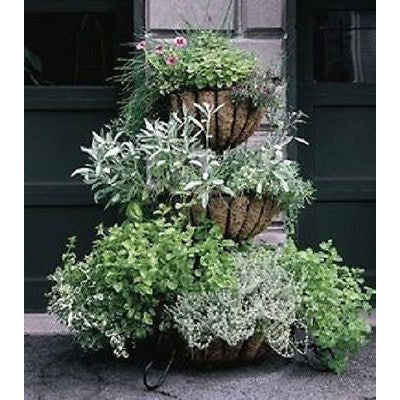 Plant Stands for Hanging Baskets