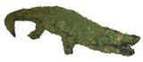 Sphagnum Moss filled alligator topiary sculpture Henderson Garden Supply