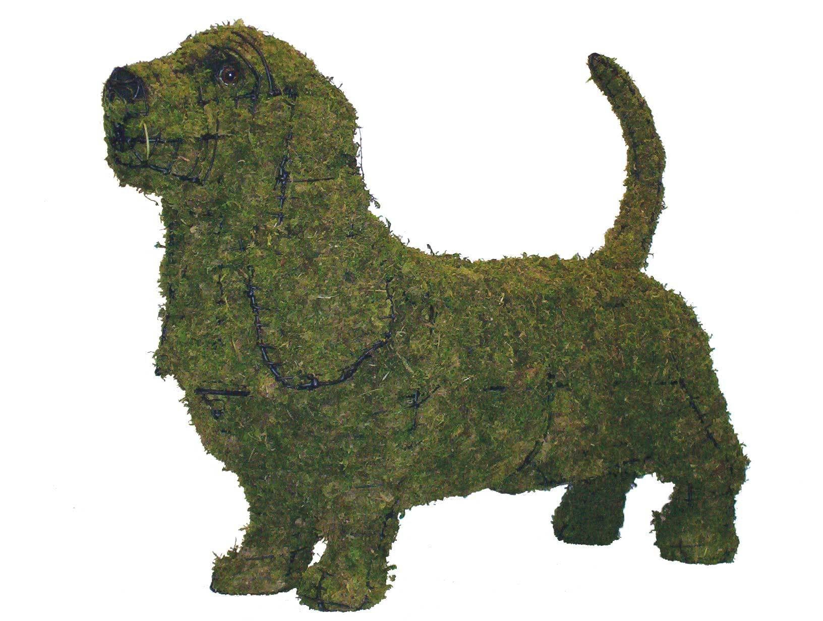 Basset Hound 21" Topiary Sculpture