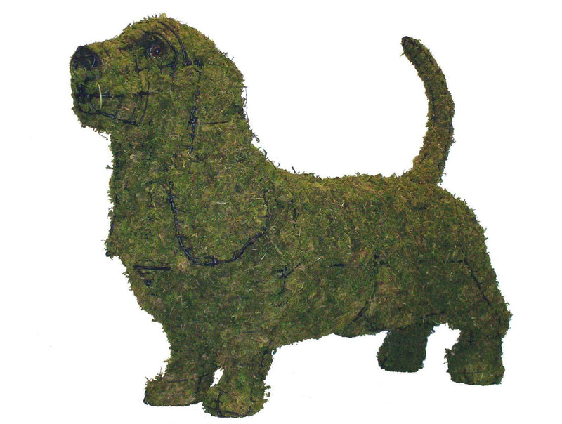 Moss filled Basset Hound topiary sculpture Henderson Garden Supply