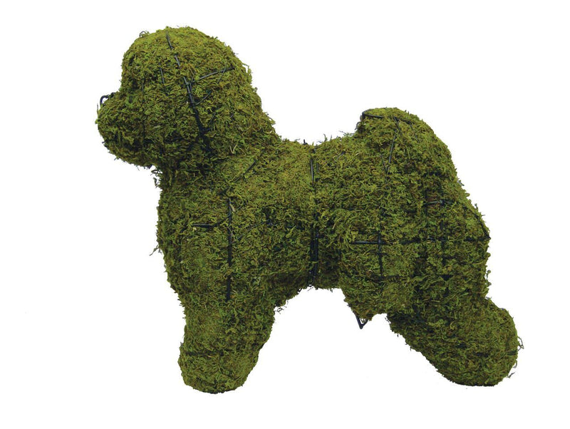 Bichon Frise Rust Free Steel Topiary Frame filled with Sphagnum Moss - Henderson Garden Supply