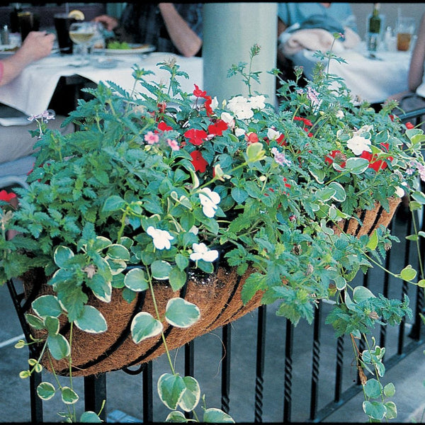 Hayrack Classic Window Box and Rail Planter 36" - Henderson Garden Supply