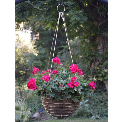 Stainless Steel Hanging Basket and Liner Set (3 Sizes Available) - Henderson Garden Supply