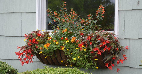 Hayrack Window Boxes & Planters | Henderson Garden Supply
