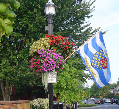 Lamp post with plant hangers new arrivals