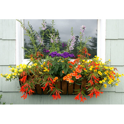 Hayrack Classic Window Box or Rail Planter 55" - Henderson Garden Supply