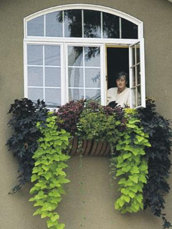 Hayrack Window Boxes & Planters | Henderson Garden Supply