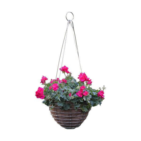 Stainless Steel Hanging Basket and Coco Fiber Liner - Henderson Garden Supply