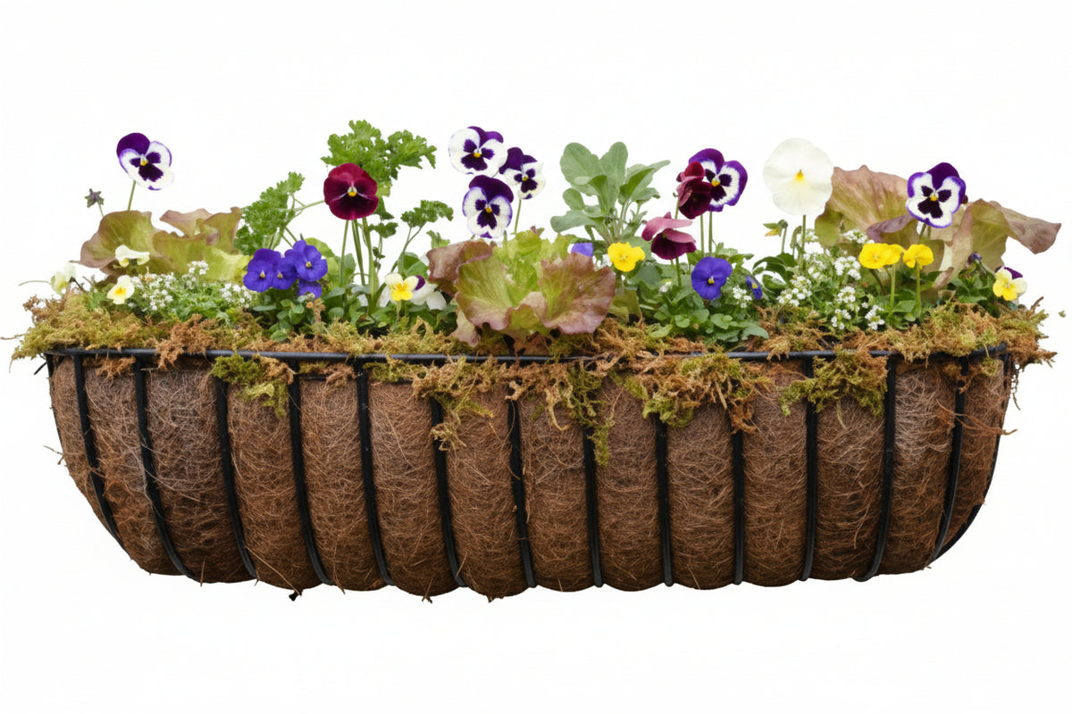 hay hanging planter 24" Classic Hayrack Window Box Planter - Steel with Coco Liner 24" Hayrack and Liner