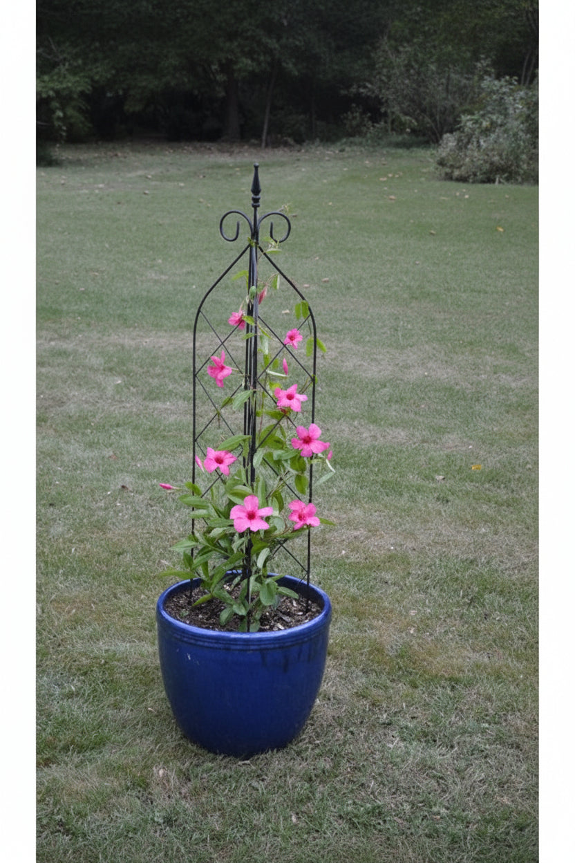 Large 3 way free standing or pot trellis Henderson Garden Supply