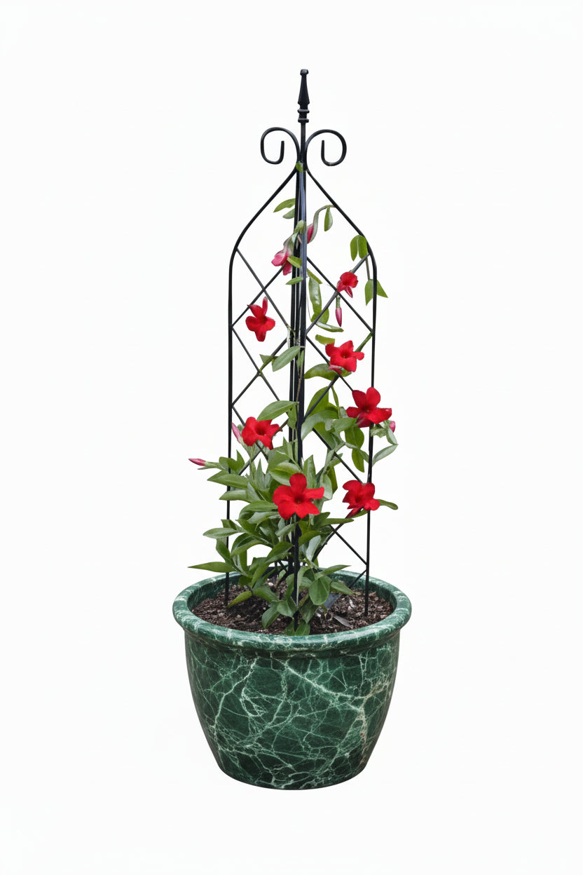 Large 3 Way Diamond Trellis Set