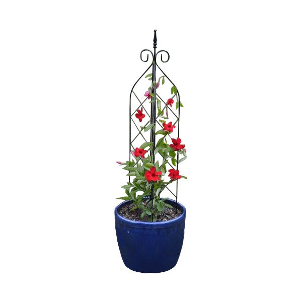 Large 3 way free standing or pot trellis Henderson Garden Supply