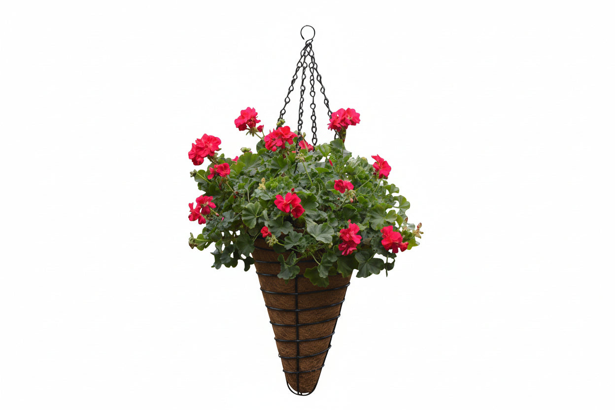 Cone shaped Concial hanging Basket and Coco Fiber Liner - Henderson Garden Supply