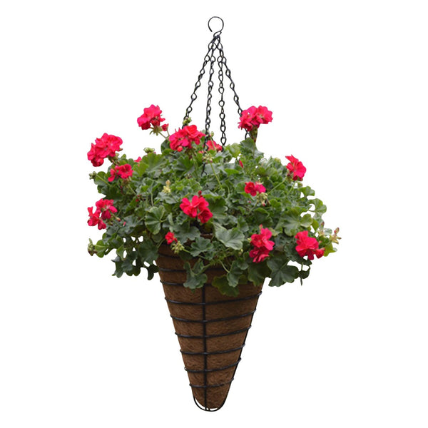 Cone shaped Concial hanging Basket and Coco Fiber Liner - Henderson Garden Supply