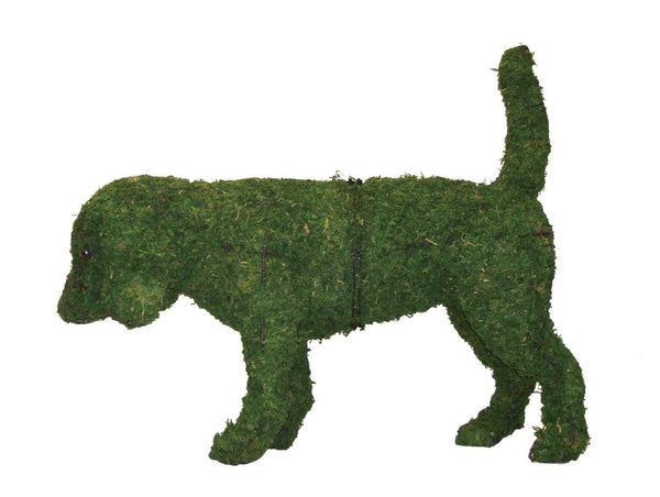 Beagle Rust Proof Steel Topiary Frame Filled with Green Dyed Sphagnum Moss - Henderson Garden Supply