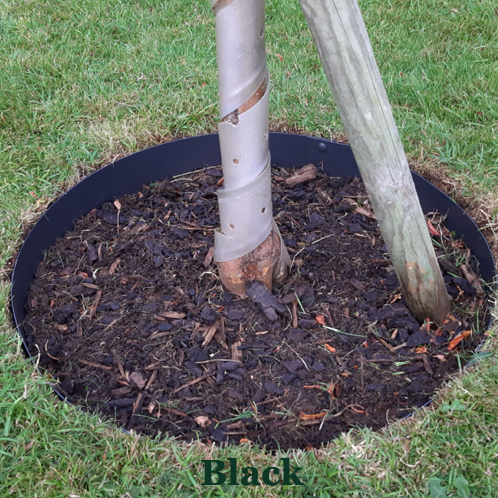 Everedge Tree Rings Black Powder Coated - Henderson Garden Supply