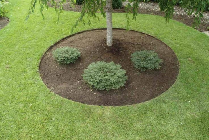 Core Edge Pre-Rolled Steel Garden / Tree Rings Shown in Brown Used as Tree Ring- Henderson Garden Supply