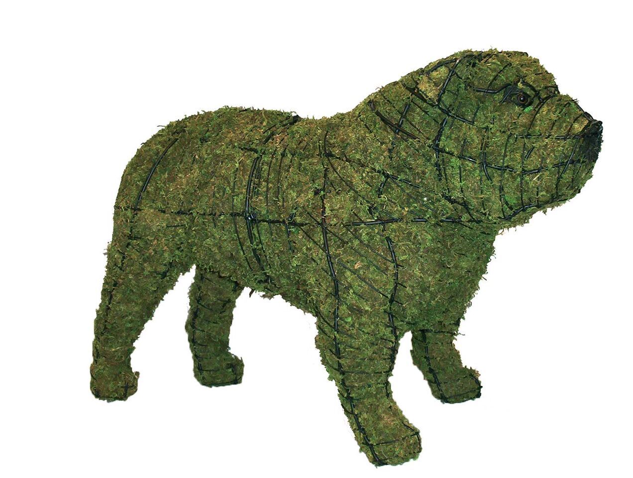 Bulldog Topiary Sculpture