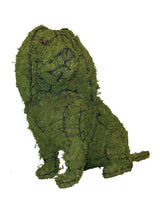 Cavalier King Charles Spaniel Topiary Frame Filled with Green Dyed Sphagnum Moss - Henderson Garden Supply