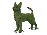 Chihuahua topiary frame filled with green dyed Sohagnum moss - Henderson Garden Supply