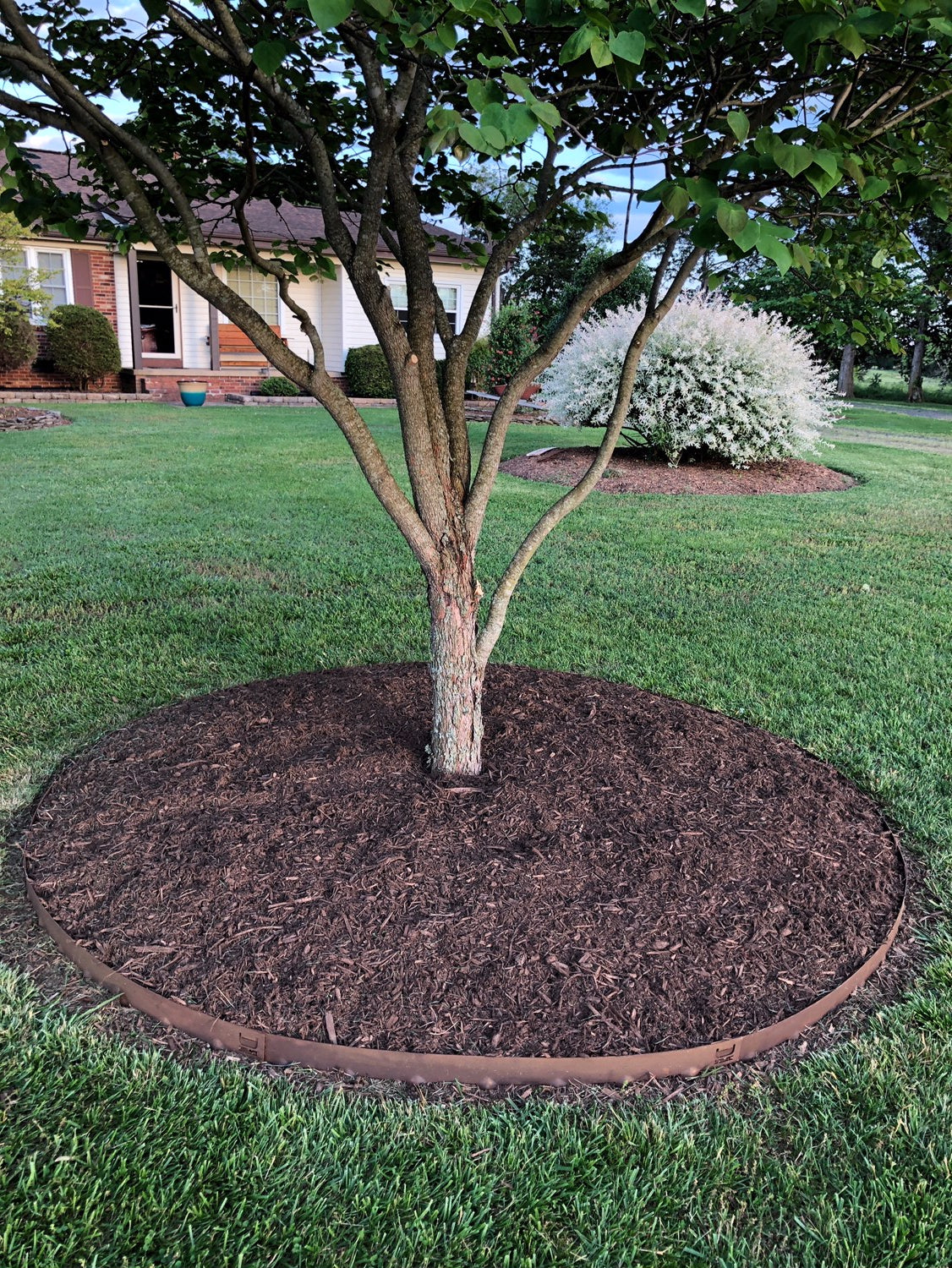Core Edge CorTen Steel Flexible Edging shown as tree edging - Henderson Garden Supply