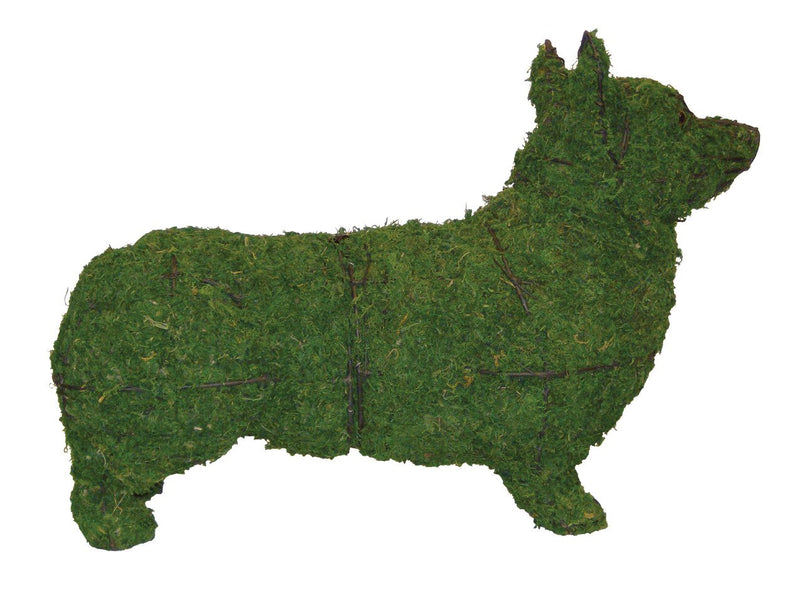 Corgi Steel Wire Topiary Frame filled with green dyed Sphagnum Moss - Henderson Garden Supply