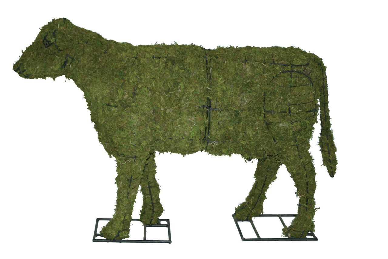 Cow Moss Topiary Sculpture