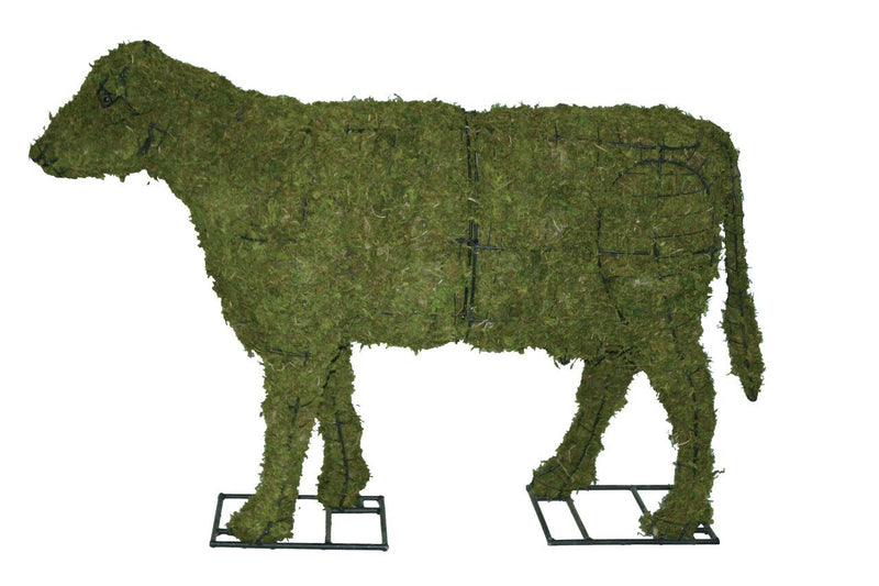 Cow Steel Topiary Frame filled with sphagnum Moss - Henderson Garden Supply