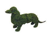 Dachshund Steel Topiary frame filled with Sphagnum Moss - Henderson Garden Supply
