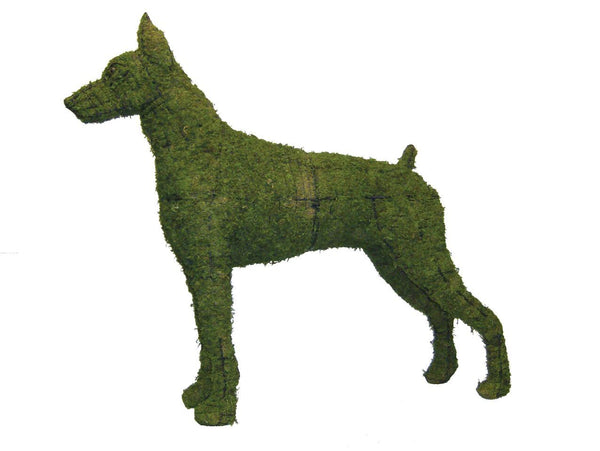 Doberman Topiary frame filled with sphagnum moss - Henderson Garden Supply
