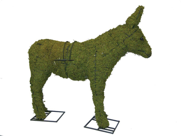 Donkey topiary frame filled with green dyed sphagnum moss - Henderson Garden Supply