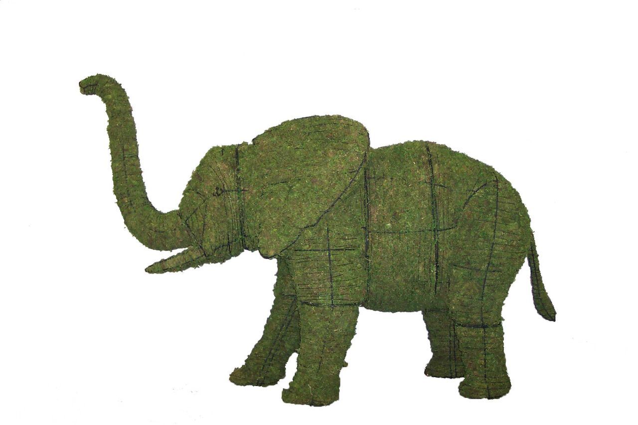 Elephant topiary frame filled with green dyed sphagnum moss - Henderson Garden Supply