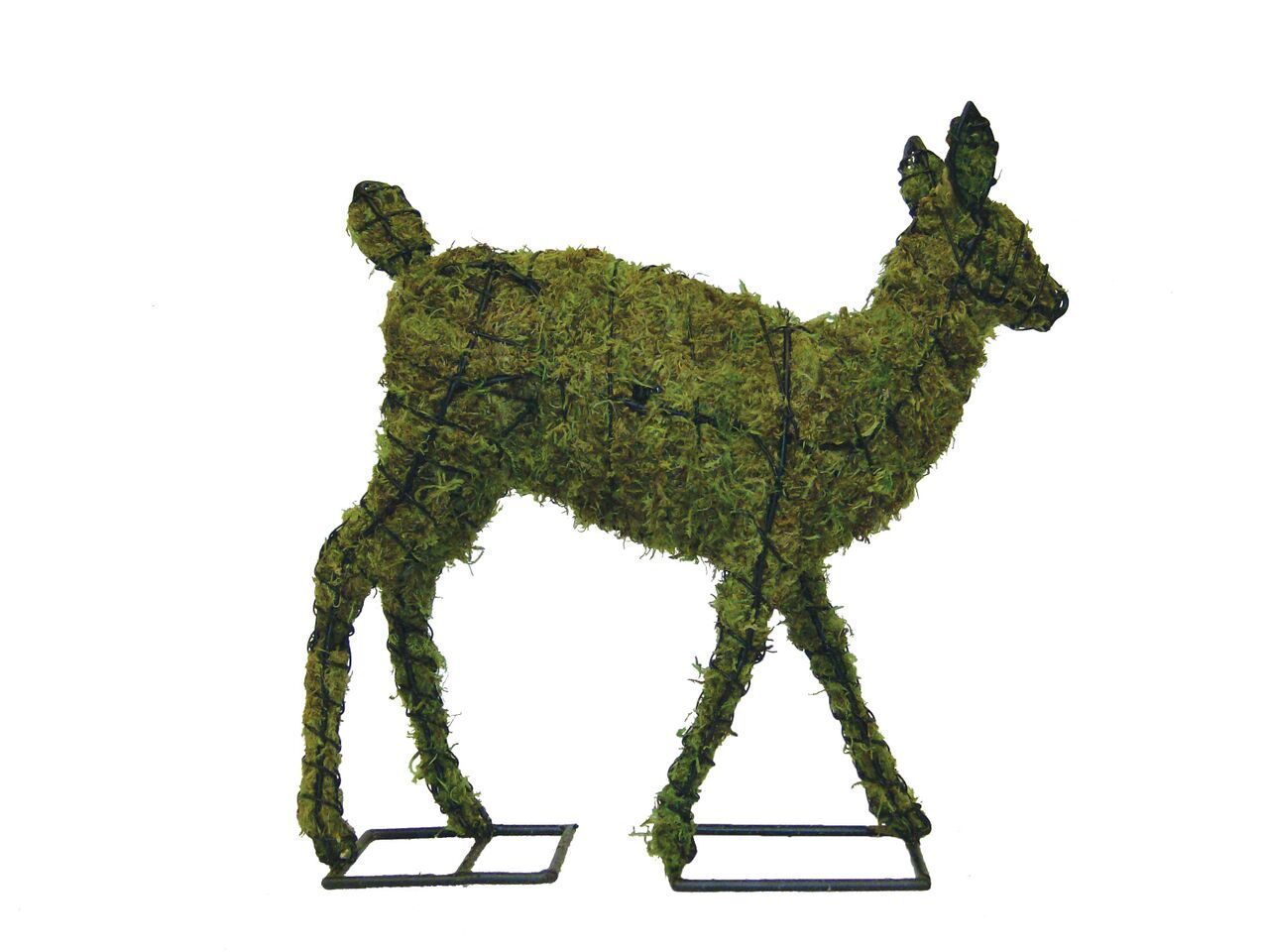 Fawn steel topiary frame filled with green dyed sphagnum moss - Henderson Garden Supply