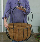 16 Inch Diameter Imperial Hanging Basket - Henderson Garden Supply