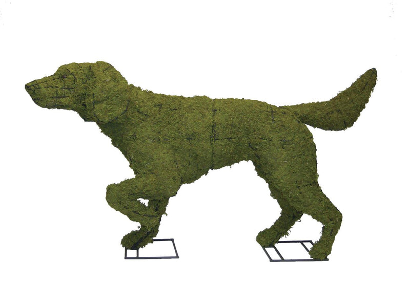 Pointer steel topiary frame filled with green dyed sphagnum moss - Henderson Garden Supply