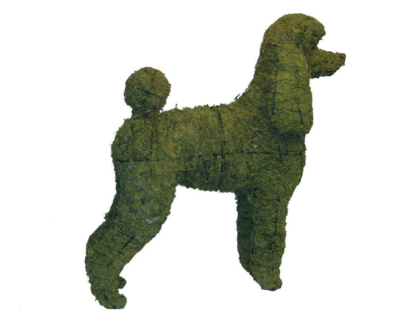 Poodle steel topiary frame filled with green dyed sphagnum moss - Henderson Garden Supply